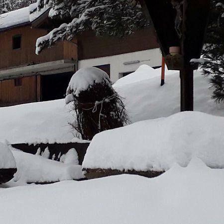 Appartement Wildkogelblick Neukirchen am Großvenediger Exterior foto