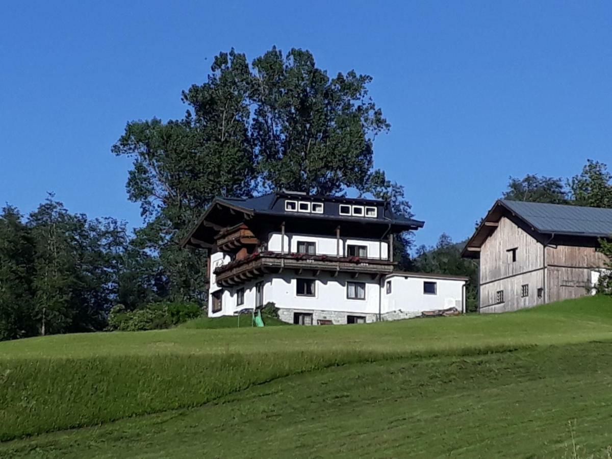 Appartement Wildkogelblick Neukirchen am Großvenediger Exterior foto